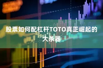 股票如何配杠杆TOTO真正崛起的大杀器