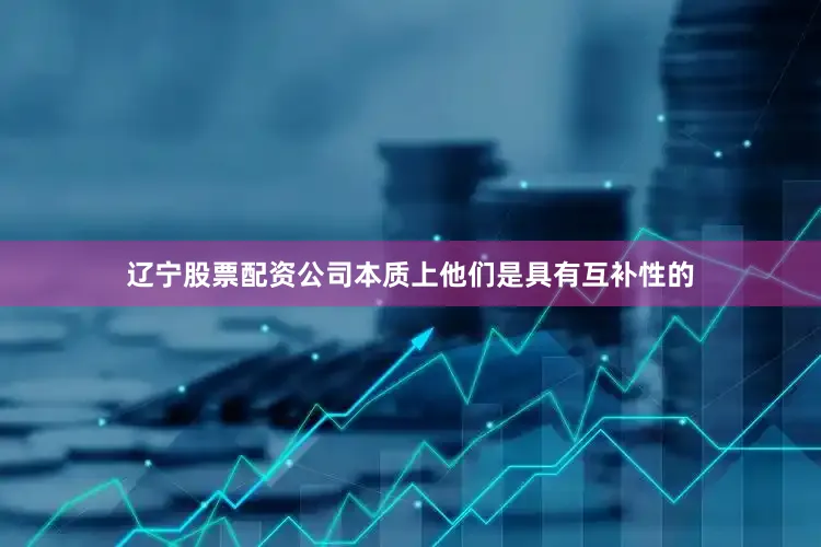 辽宁股票配资公司本质上他们是具有互补性的