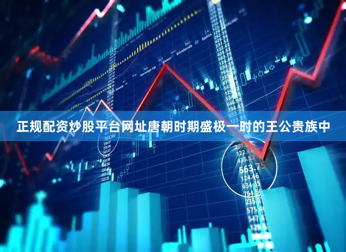 正规配资炒股平台网址唐朝时期盛极一时的王公贵族中