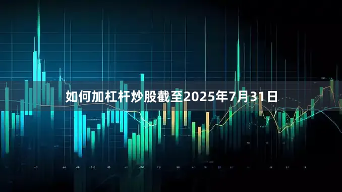 如何加杠杆炒股截至2025年7月31日