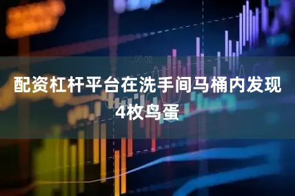 配资杠杆平台在洗手间马桶内发现4枚鸟蛋