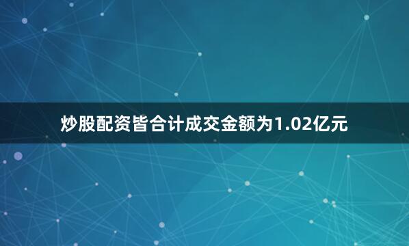 炒股配资皆合计成交金额为1.02亿元